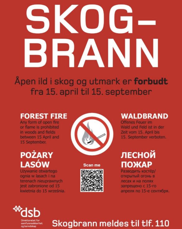 Skogbrann