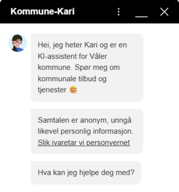 Kommune Kari besvarelse