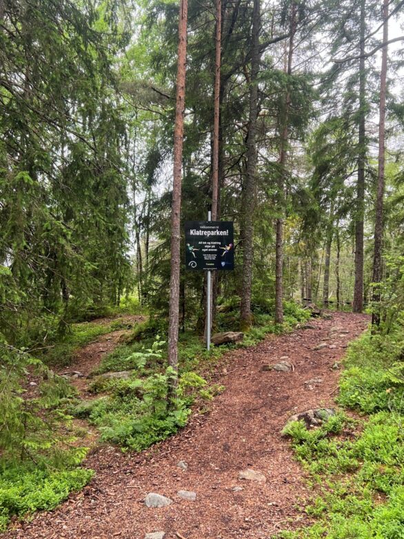 Skogssti og klatrepark ved Våk barneskole