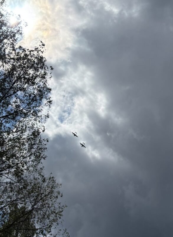 Fly