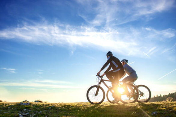 Istockphoto 959028830 612x612