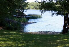 Bilde av en plen som går ned til en strand og vannet nedenfor med trær på hver side, ved Fergeleiet friluftsområde