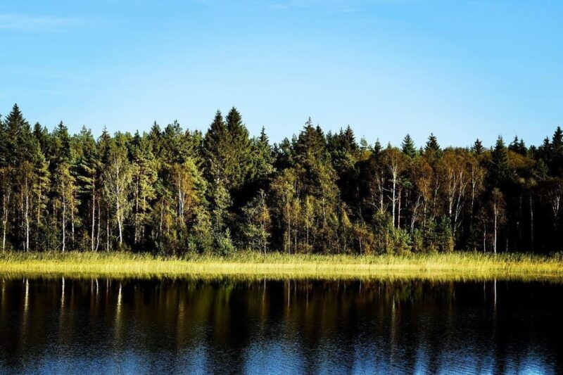 Fotograf: Kristin Svenskerud